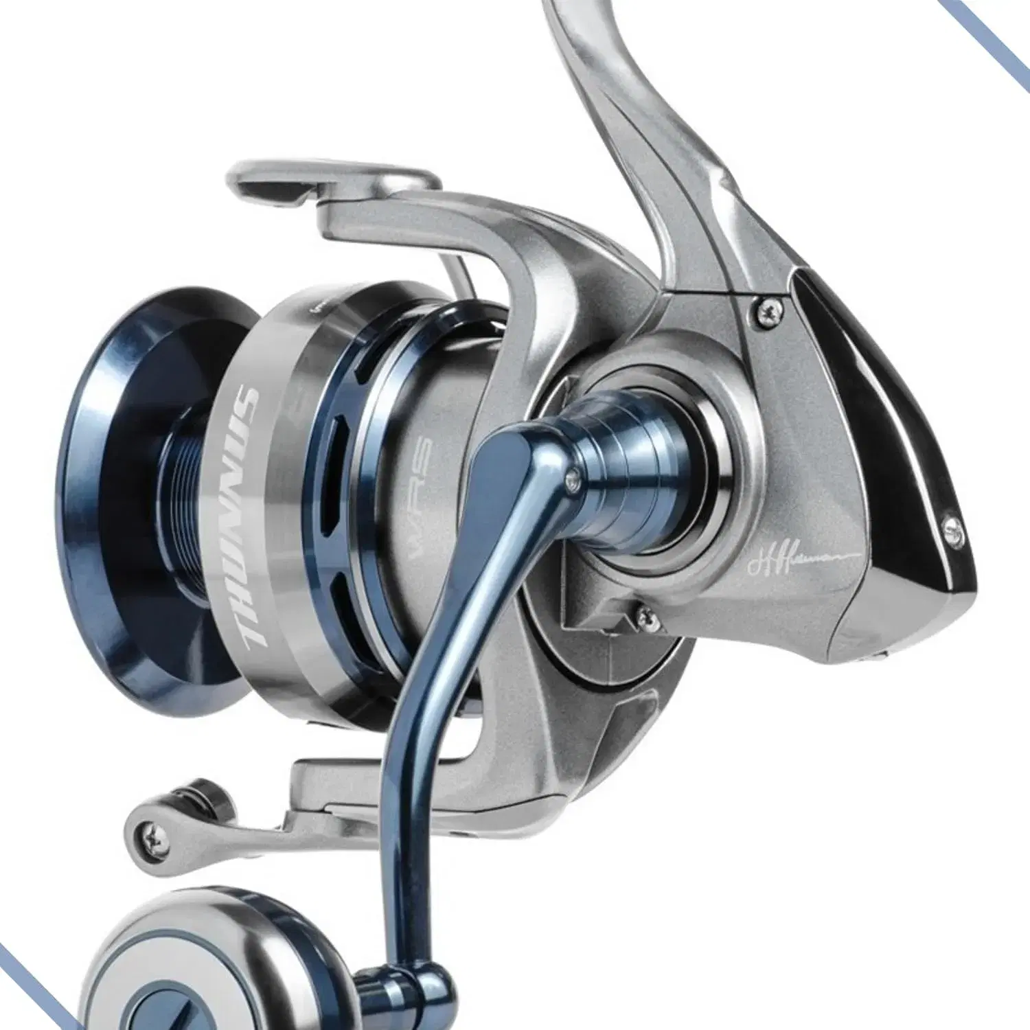 Thunnus