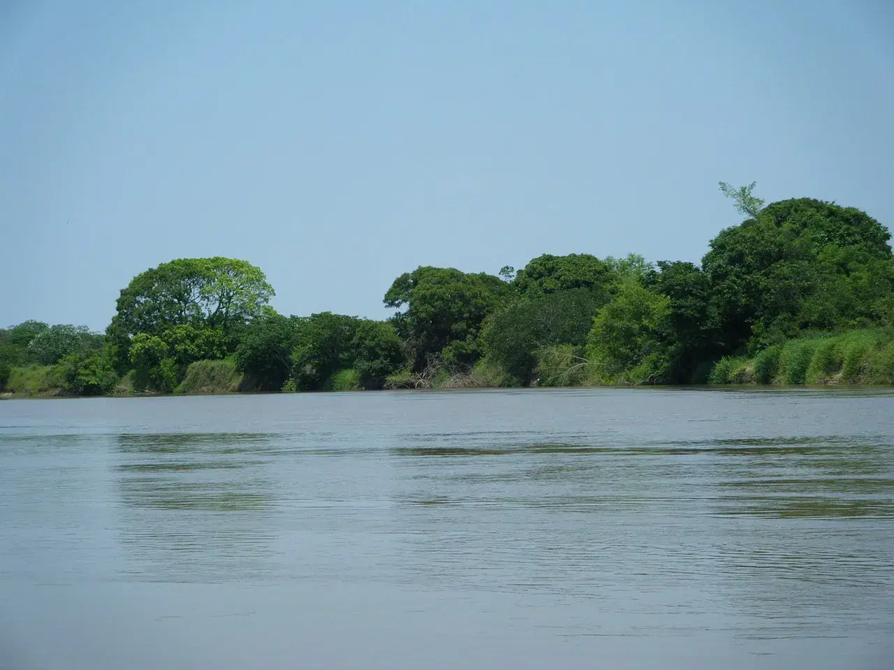 Margens arborizadas do Rio do Peixe em São Paulo