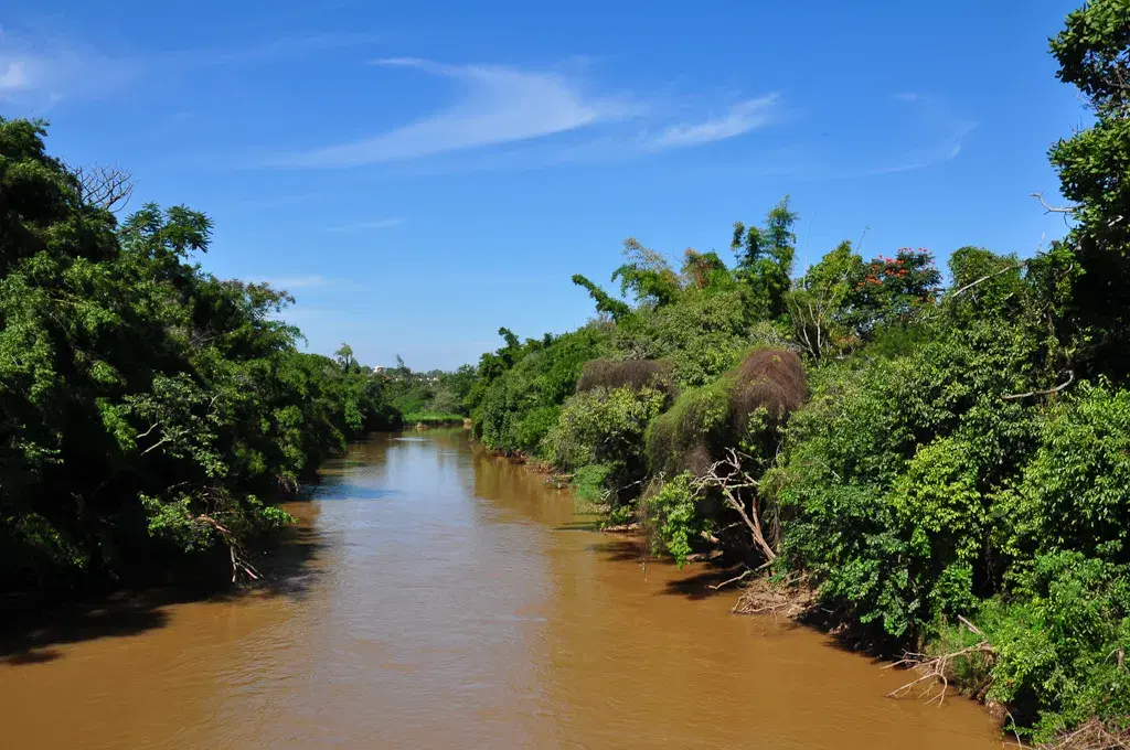 Rio Atibaia: guia completo de pesca - pesca esportiva