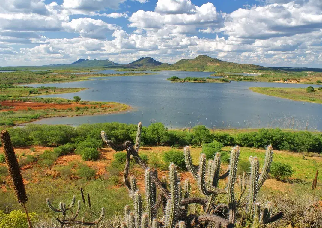 Estuário do Rio Vaza-Barris com manguezais em Sergipe
